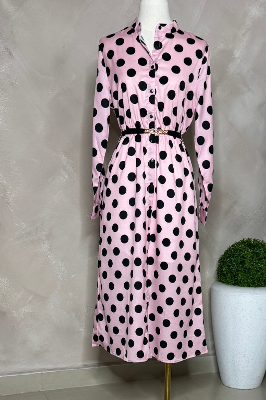 Emily Polka Dots Dress